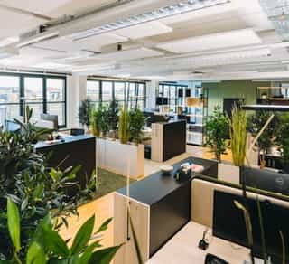 Zu sehen ist der Einblick in ein offenes Büro bei PhysioSport Köln. Zu sehen sind weiterhin die einzelnen Arbeitsbereiche, Blumen und diverse Trennwände.